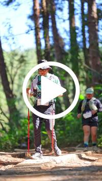 BIB:  <button type="button" onclick="openModal(26787580)" class="btn btn-primary btn-sm float-right" data-toggle="modal" data-target=".modal-high-quality">
                <i class="fa fa-download"></i> Download
                </button>